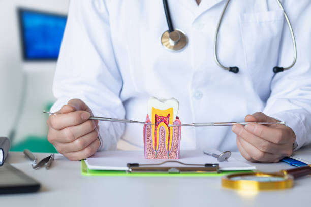 Best Emergency Dental Services for Seniors in Taft, TX